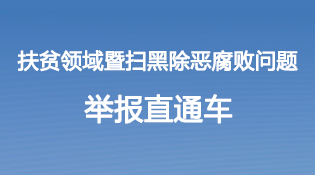 互動-扶貧領域違規違紀問題舉報直通車